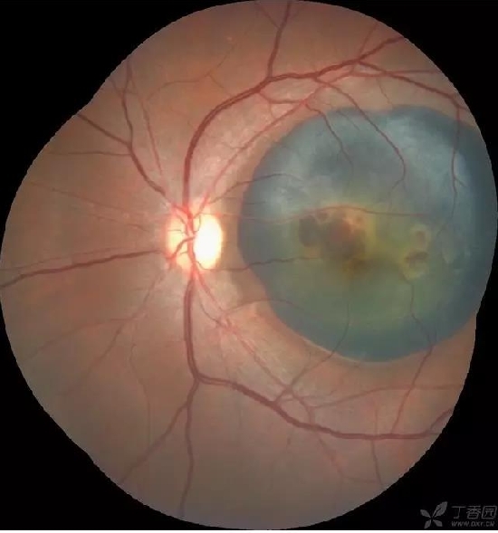 �����������۵ײ���ͼƬ