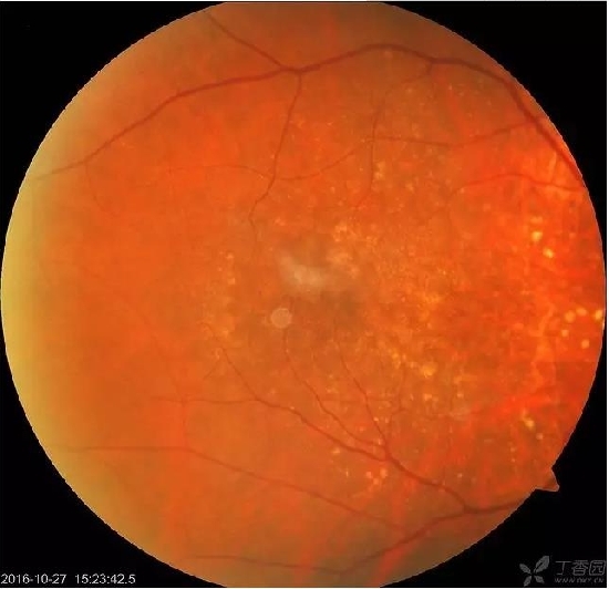 �����������۵ײ���ͼƬ