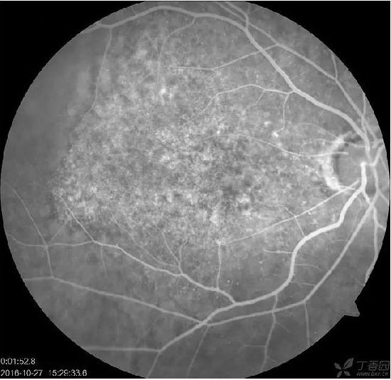 �����������۵ײ���ͼƬ