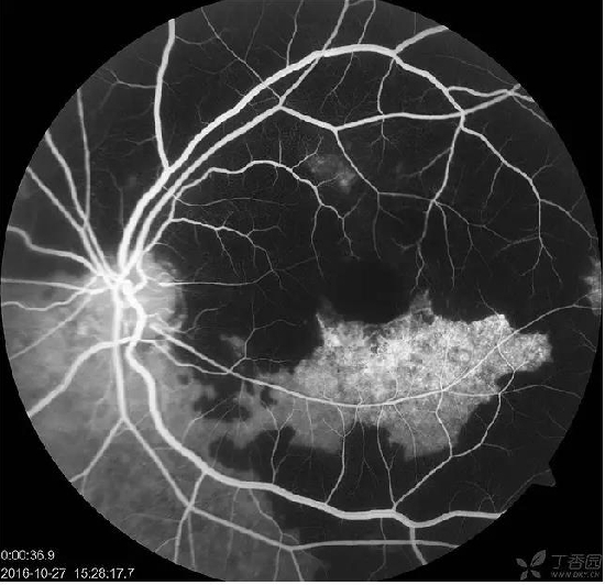 �����������۵ײ���ͼƬ