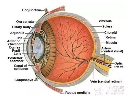 ����Ĥ���֪ʶѧϰ������ͼƬ����