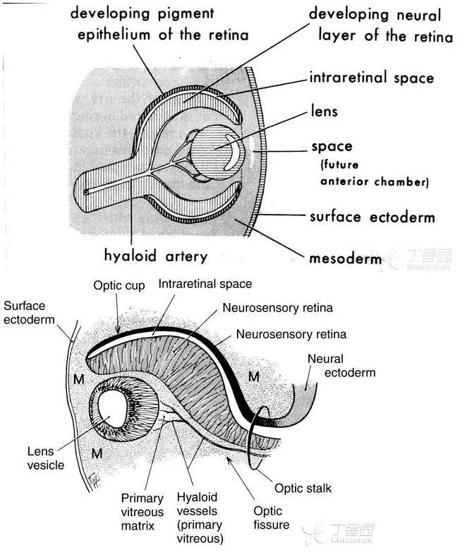 ����Ĥ���֪ʶѧϰ������ͼƬ����