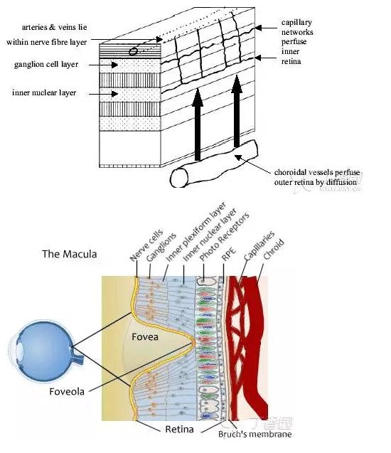 ����Ĥ���֪ʶѧϰ������ͼƬ����
