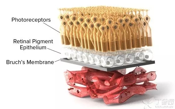 ����Ĥ���֪ʶѧϰ������ͼƬ����