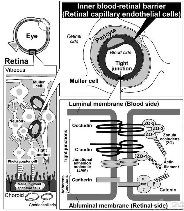 ����Ĥ���֪ʶѧϰ������ͼƬ����