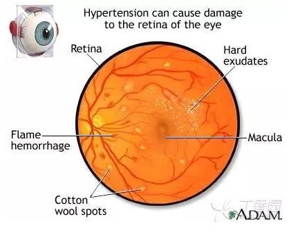 ����Ĥ���֪ʶѧϰ������ͼƬ����