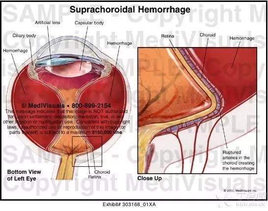 ����Ĥ���֪ʶѧϰ������ͼƬ����