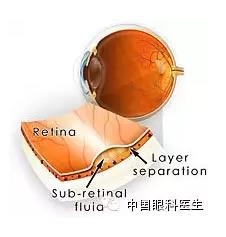 CSC-�н��Ĺ�ȥ���ں�δ������ǿ�ܽᣬ�ղر��ã�