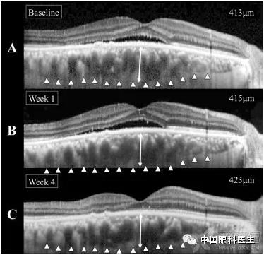 CSC-�н��Ĺ�ȥ���ں�δ������ǿ�ܽᣬ�ղر��ã�
