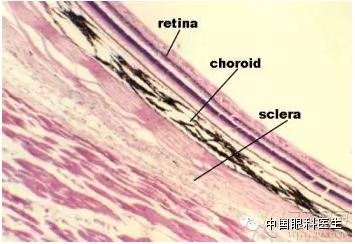 CSC-�н��Ĺ�ȥ���ں�δ������ǿ�ܽᣬ�ղر��ã�