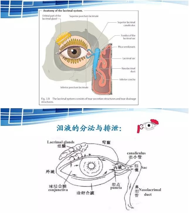 ���������۱�����