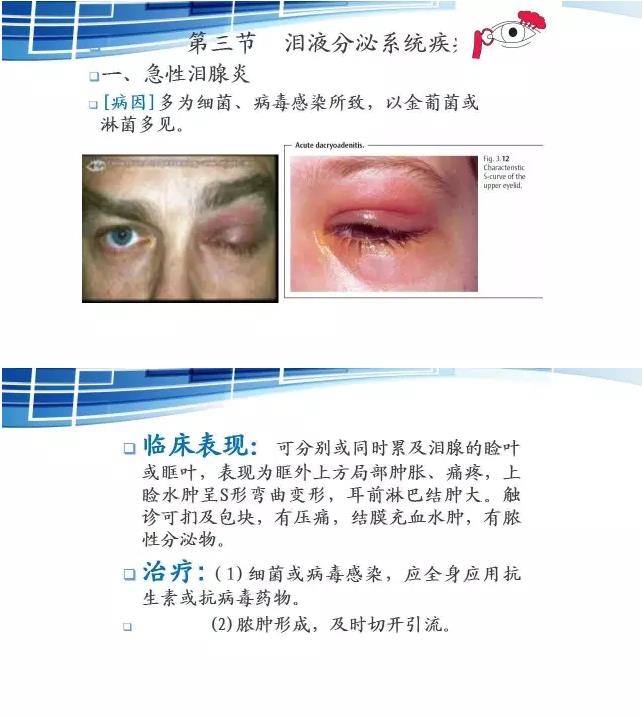 ���������۱�����