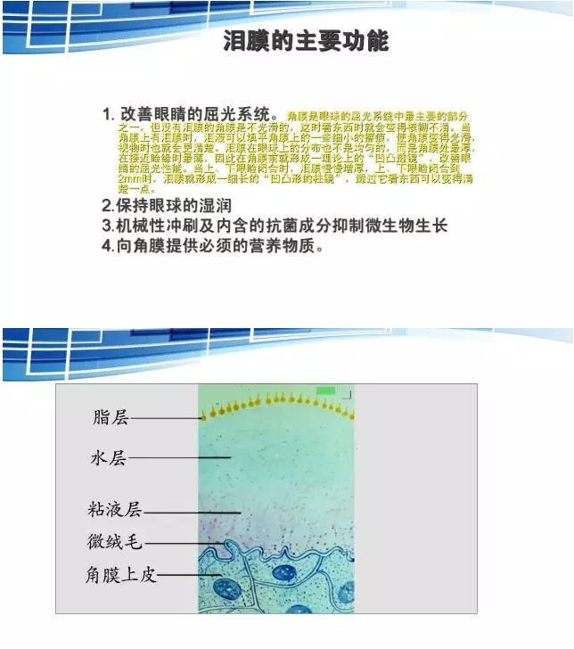 ���������۱�����