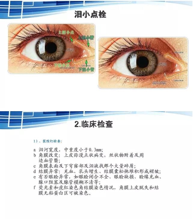 ���������۱�����