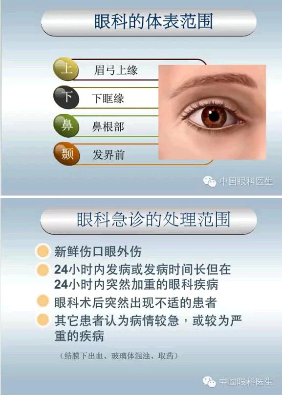 �ۿƼ��ﳣ��������������pptͼ�Ľ���棩