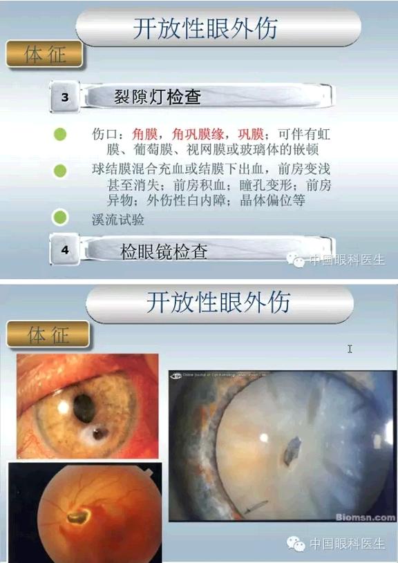 �ۿƼ��ﳣ��������������pptͼ�Ľ���棩