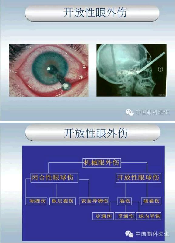 �ۿƼ��ﳣ��������������pptͼ�Ľ���棩