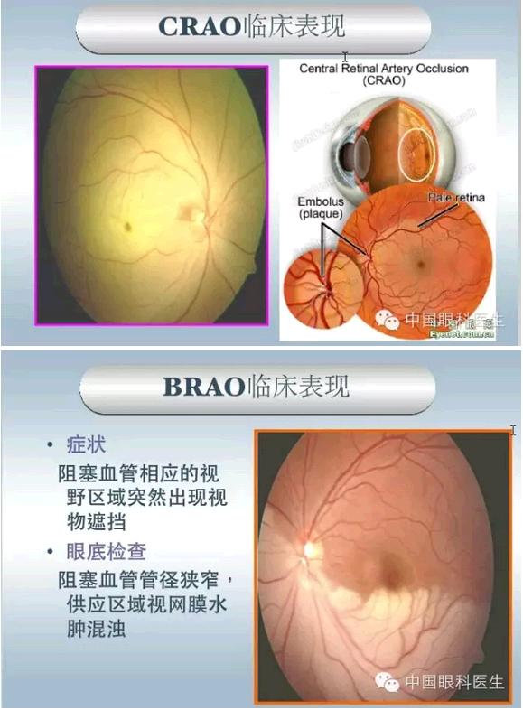 �ۿƼ��ﳣ��������������pptͼ�Ľ���棩