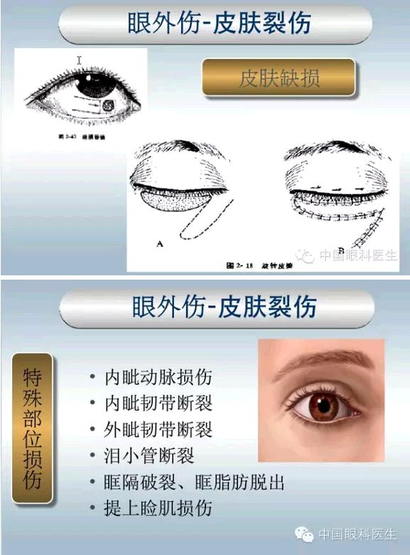 �ۿƼ��ﳣ��������������pptͼ�Ľ���棩