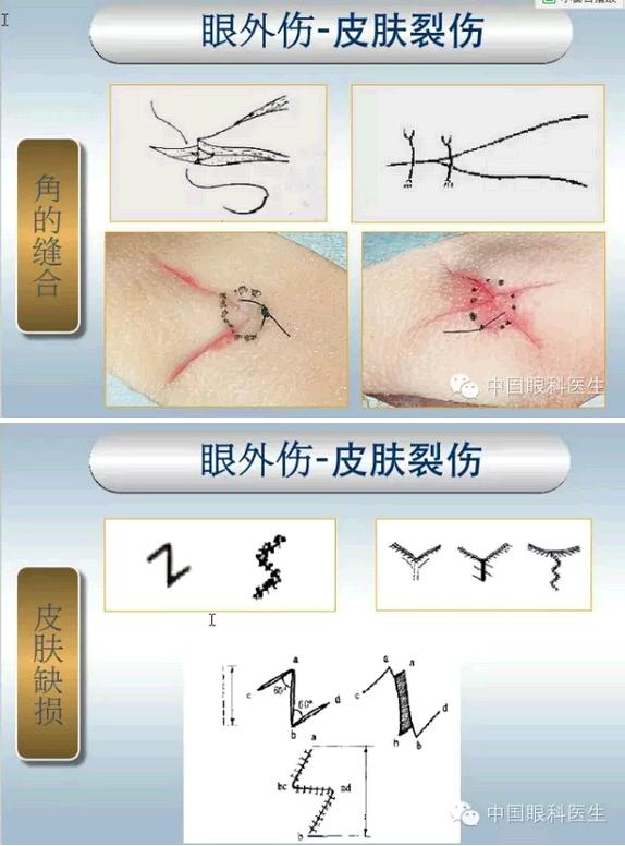 �ۿƼ��ﳣ��������������pptͼ�Ľ���棩