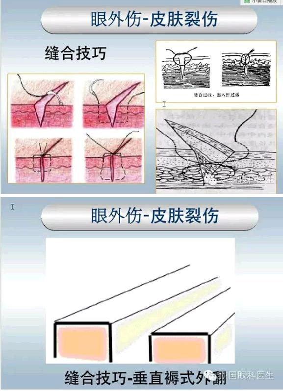 �ۿƼ��ﳣ��������������pptͼ�Ľ���棩