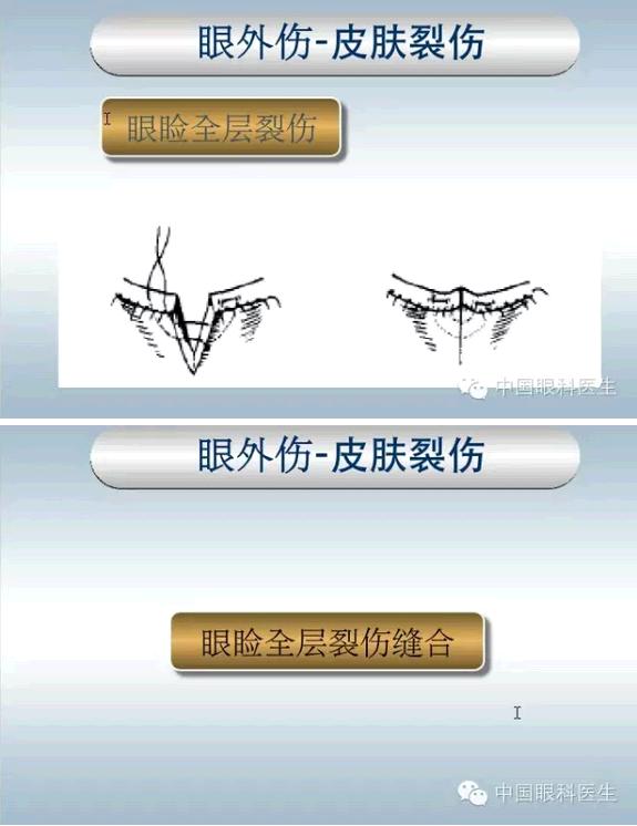 �ۿƼ��ﳣ��������������pptͼ�Ľ���棩