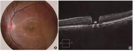 ������������������»ư��ѿ�