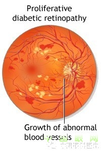 ��������Ĥ��������ۡ���ȫͼ�������ղء�