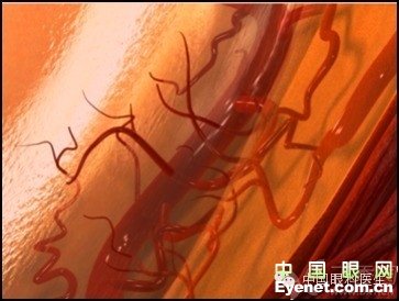 ��������Ĥ��������ۡ���ȫͼ�������ղء�