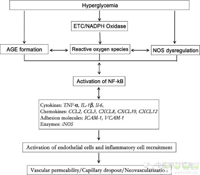 ��������Ĥ��������ۡ���ȫͼ�������ղء�