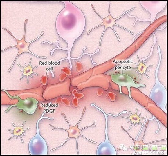 ��������Ĥ��������ۡ���ȫͼ�������ղء�