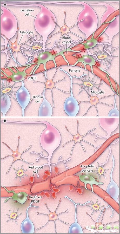 ��������Ĥ��������ۡ���ȫͼ�������ղء�