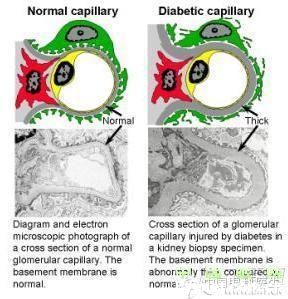 ��������Ĥ��������ۡ���ȫͼ�������ղء�
