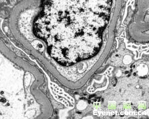 ��������Ĥ��������ۡ���ȫͼ�������ղء�