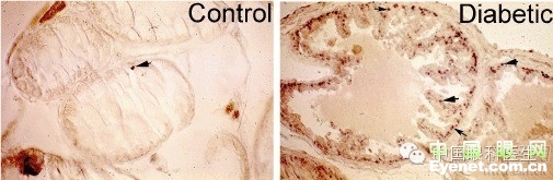 ��������Ĥ��������ۡ���ȫͼ�������ղء�