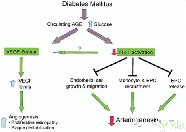 ��������Ĥ��������ۡ���ȫͼ�������ղء�